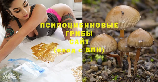 PSILOCYBIN Верея